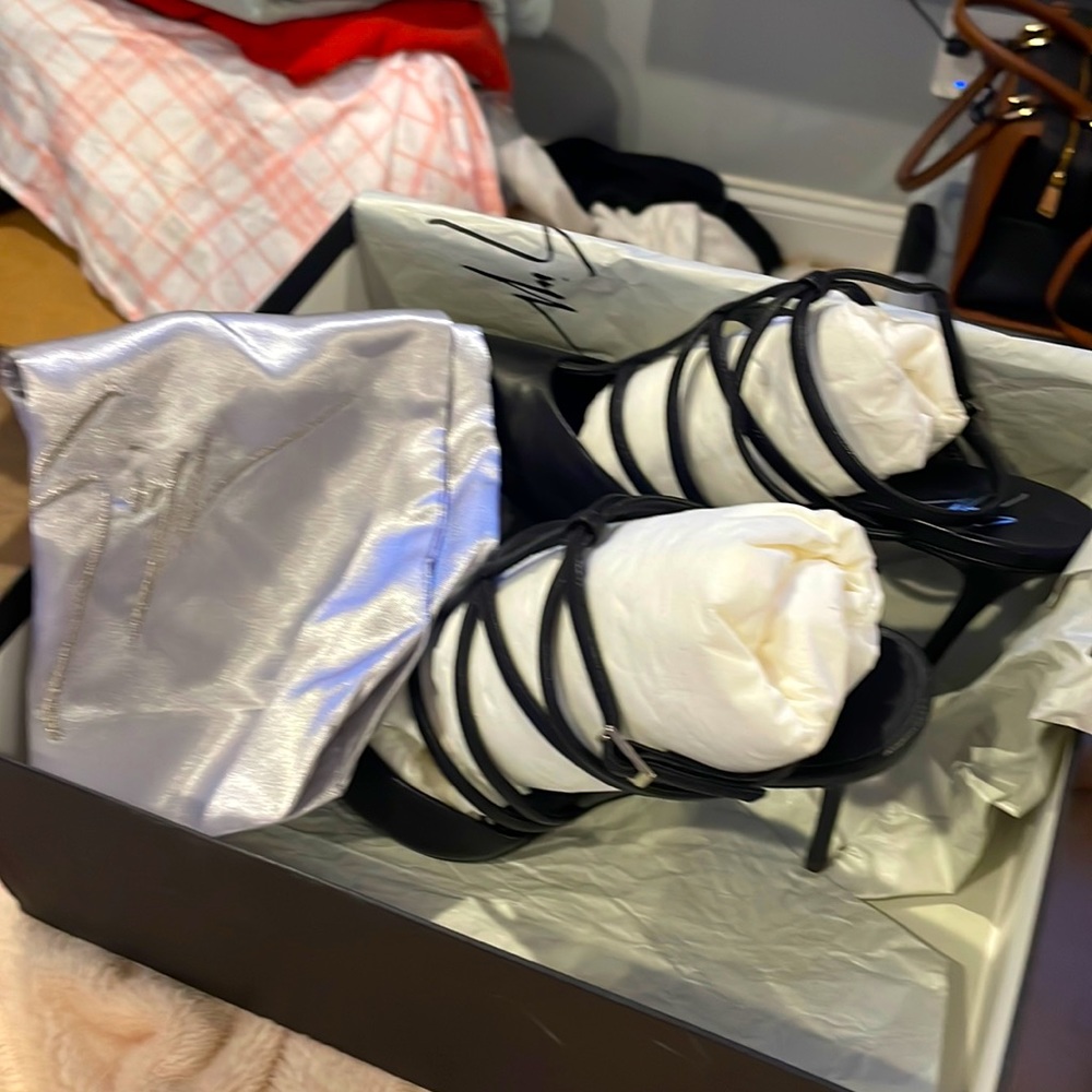 Guiseppe Zanotti